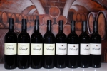 Blaufränkisch Perwolff Vertikale 2008 bis 2015 - Weingut Krutzler - AUSVERKAUFT